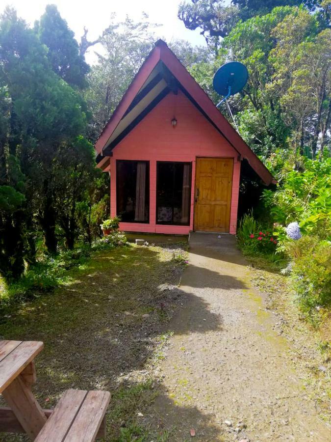 Cabanas Las Orquideas Zapotal  Δωμάτιο φωτογραφία