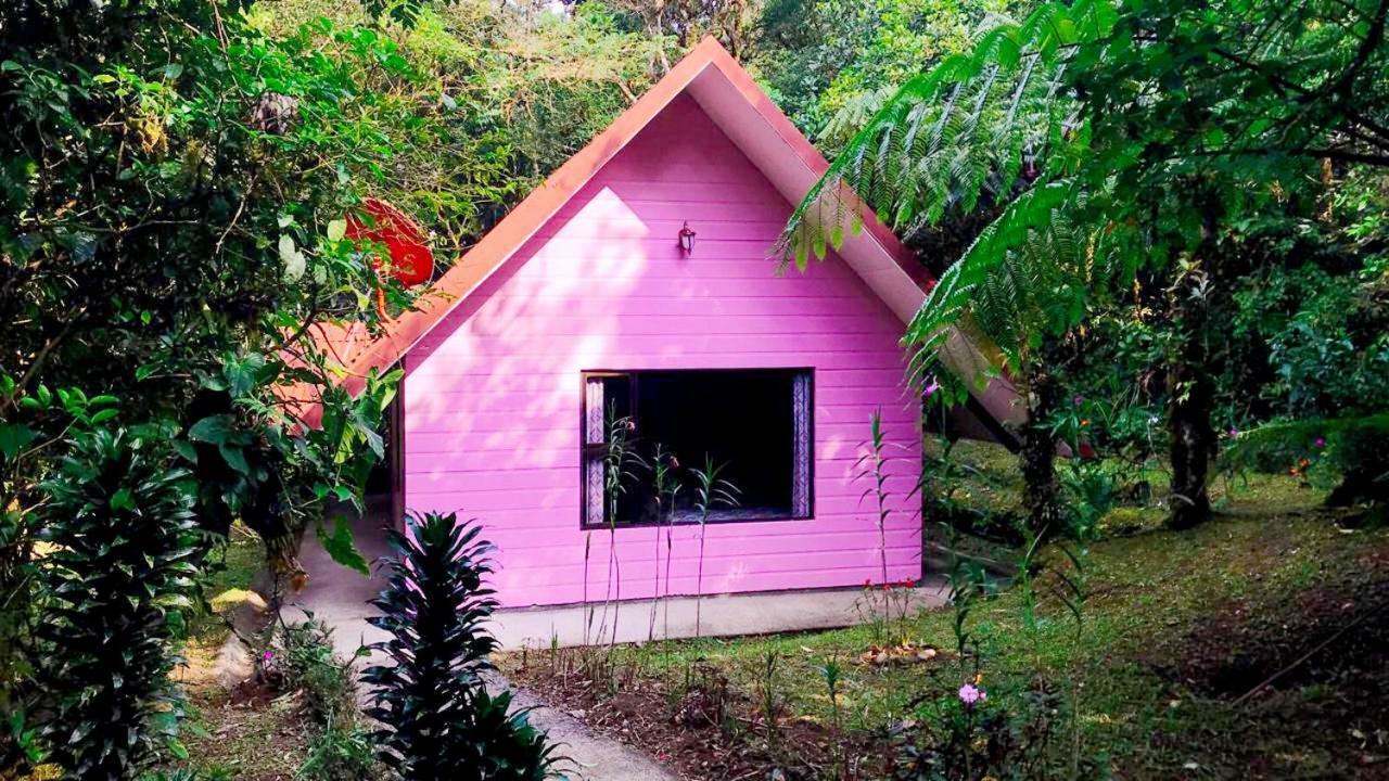 Cabanas Las Orquideas Zapotal  Δωμάτιο φωτογραφία