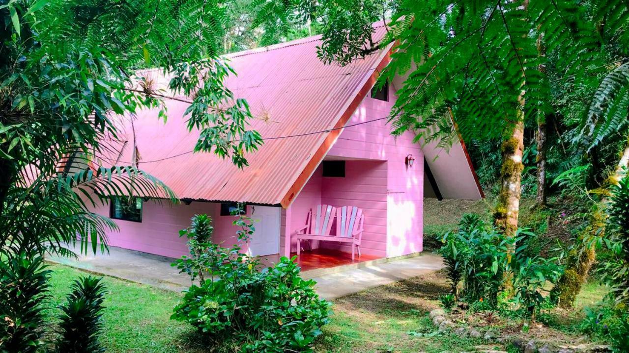 Cabanas Las Orquideas Zapotal  Δωμάτιο φωτογραφία
