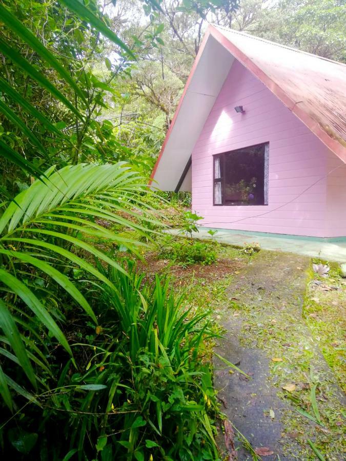 Cabanas Las Orquideas Zapotal  Δωμάτιο φωτογραφία