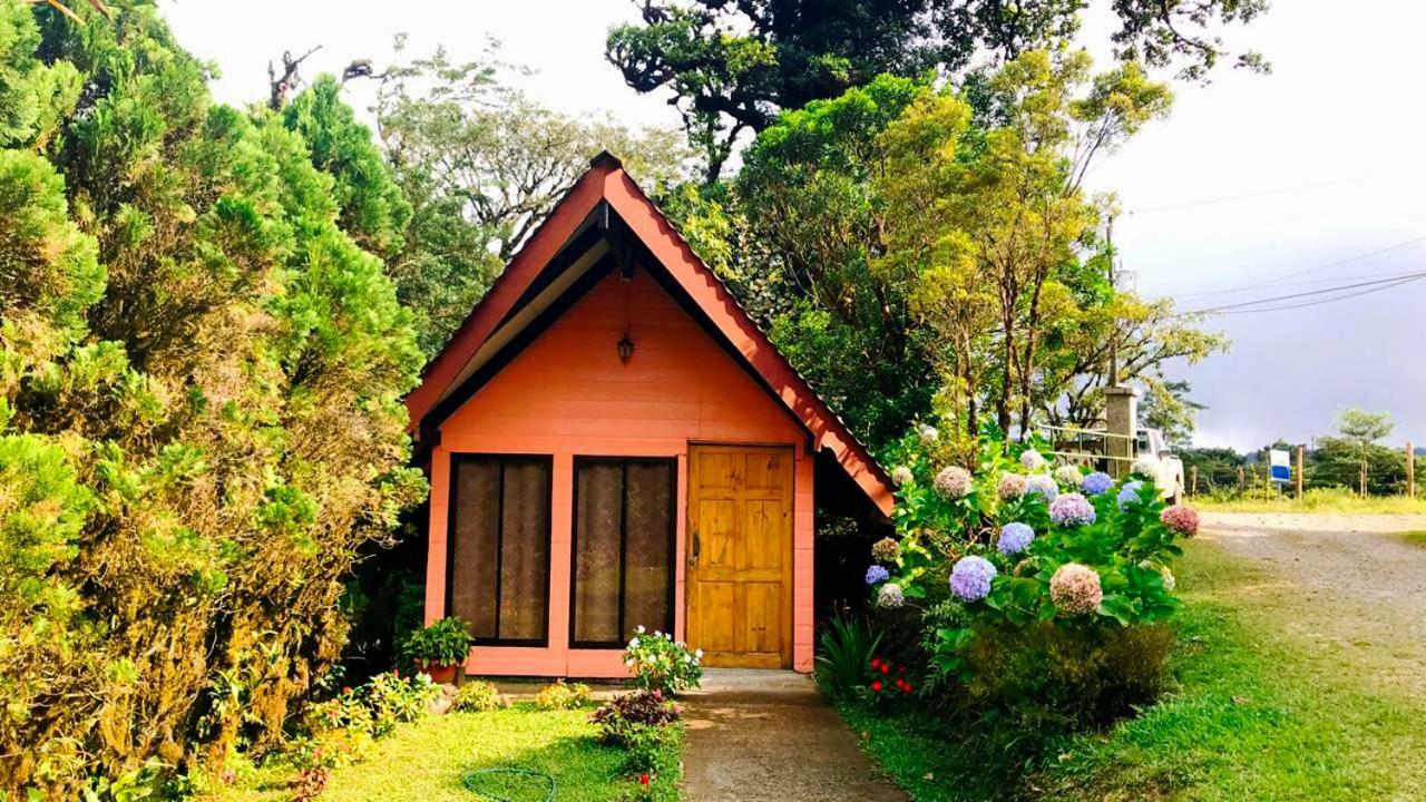 Cabanas Las Orquideas Zapotal  Δωμάτιο φωτογραφία