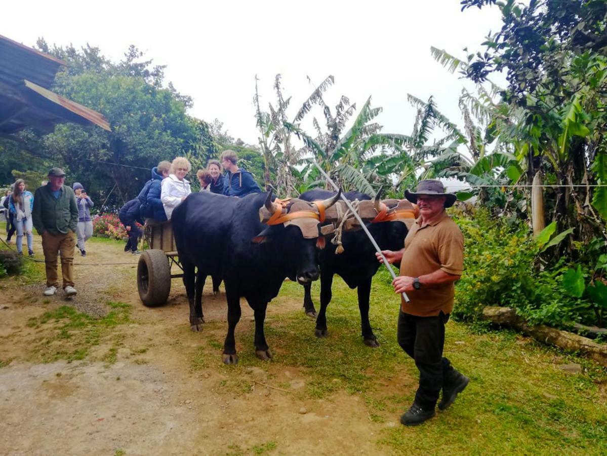 Cabanas Las Orquideas Zapotal  Εξωτερικό φωτογραφία