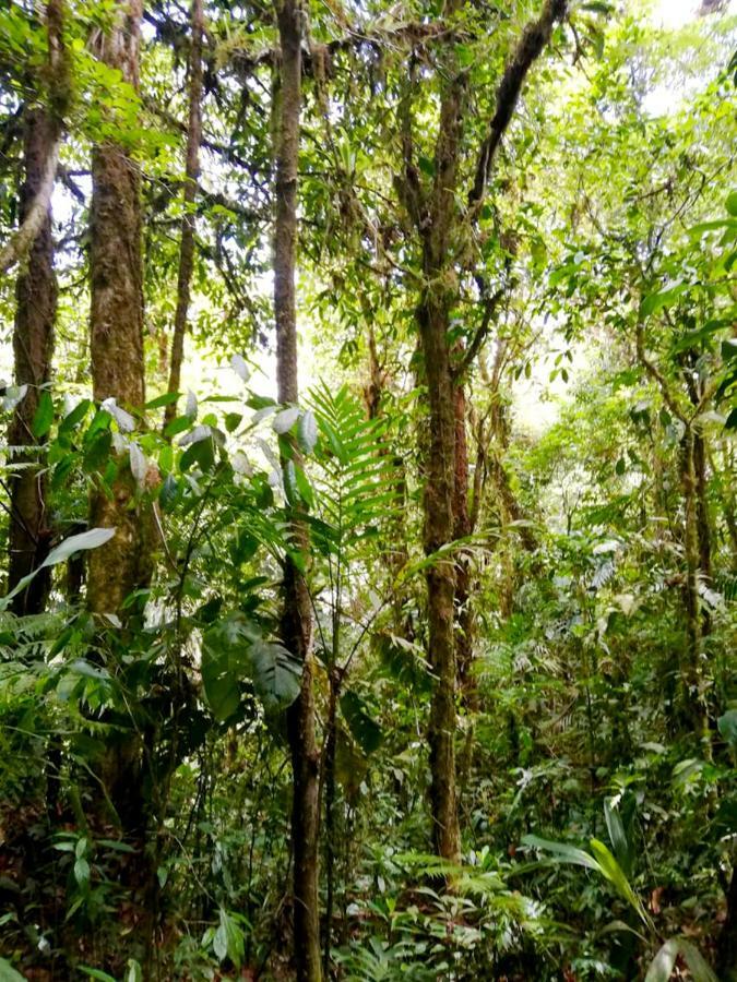 Cabanas Las Orquideas Zapotal  Εξωτερικό φωτογραφία