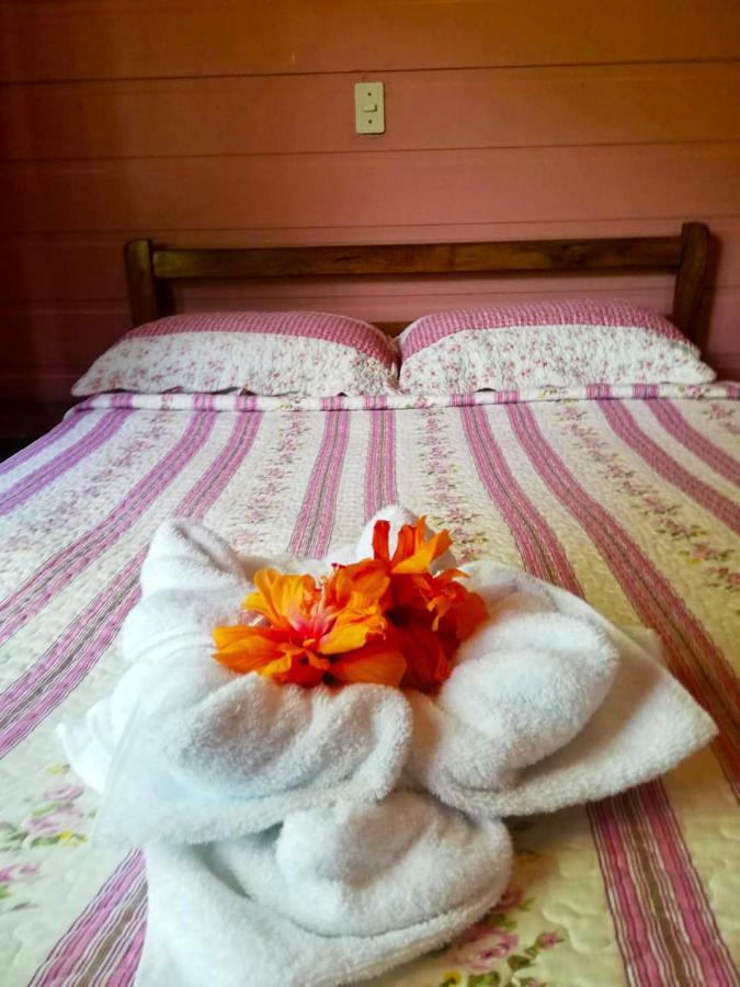 Cabanas Las Orquideas Zapotal  Εξωτερικό φωτογραφία