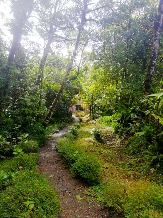 Cabanas Las Orquideas Zapotal  Εξωτερικό φωτογραφία