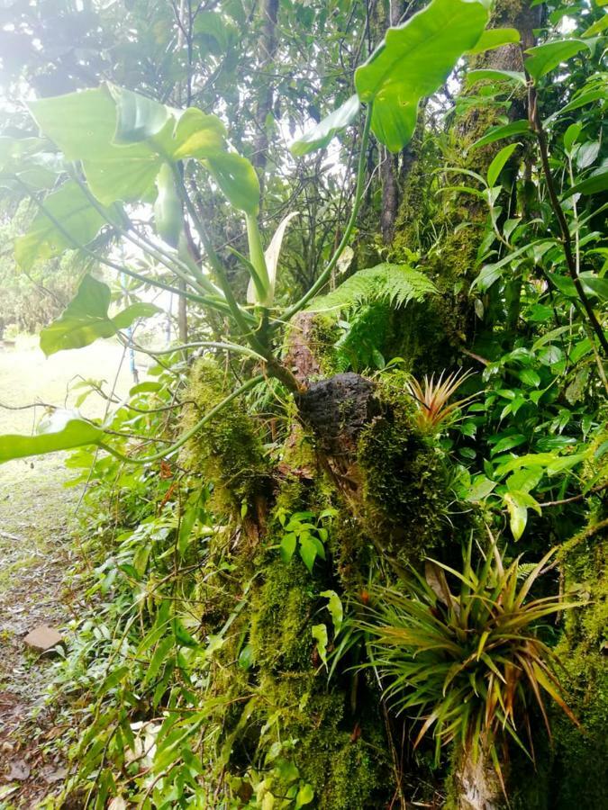 Cabanas Las Orquideas Zapotal  Εξωτερικό φωτογραφία